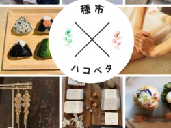 種市 6.15